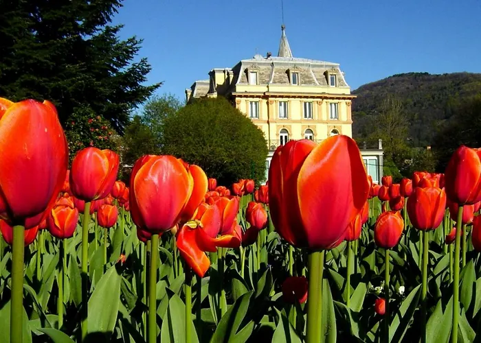 Casa Patrizia 게스트하우스 3*